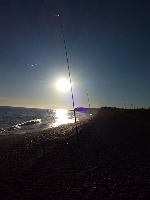 Surfcasting Róbalo