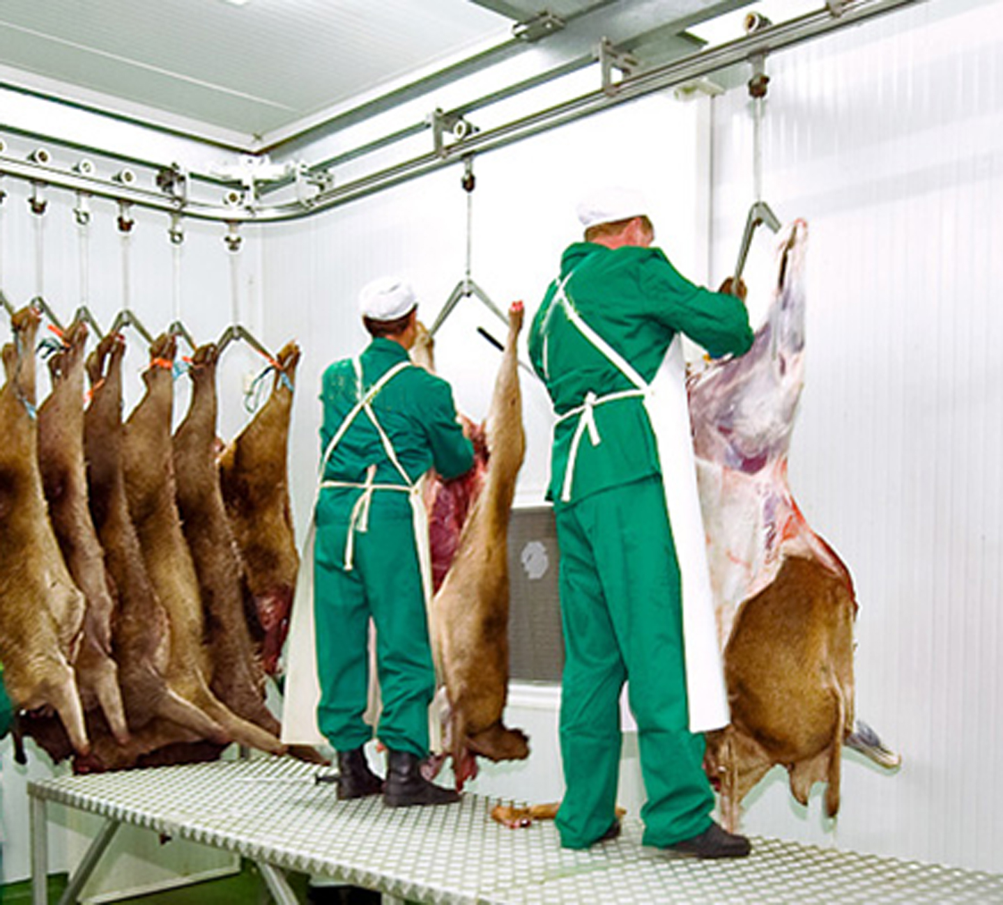 En vigor la segunda Extensión de Norma de la Carne de Caza Silvestre