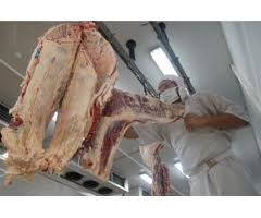 Moderación en la ingesta de carne de monte