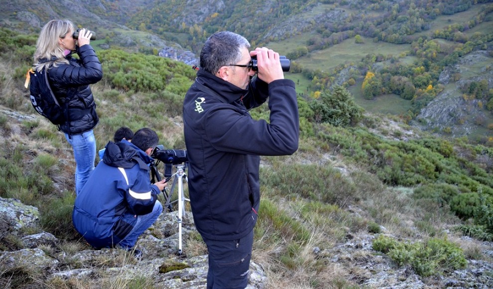 Unas 2.500 personas se interesan por la brama del ciervo en el Alt Pallars