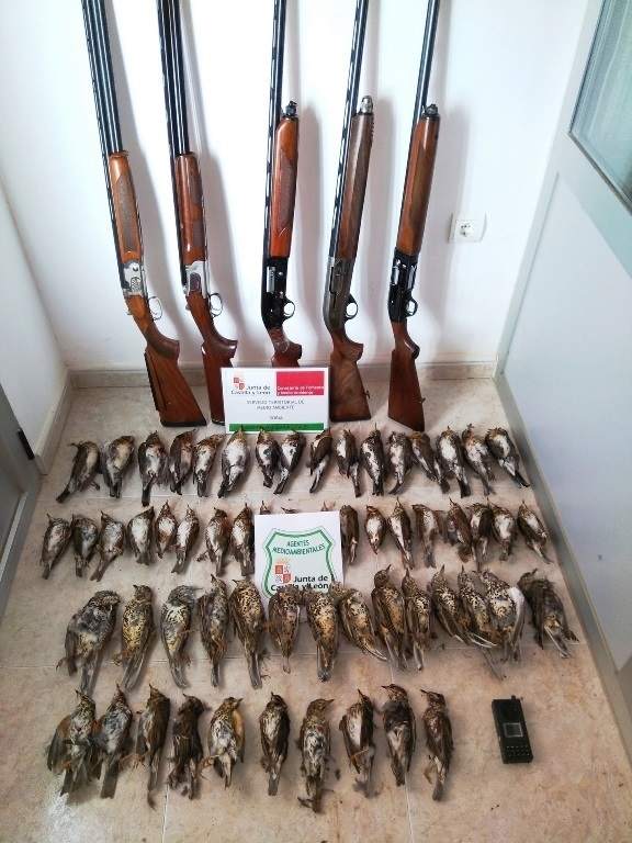 Intervenidos 5 armas, 59 zorzales y un reclamo en una cacería en Soria