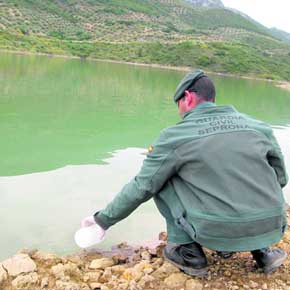 El Seprona investiga un posible vertido en el pantano del Víboras 