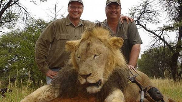 Absuelto el organizador del safari donde murió el león Cecil