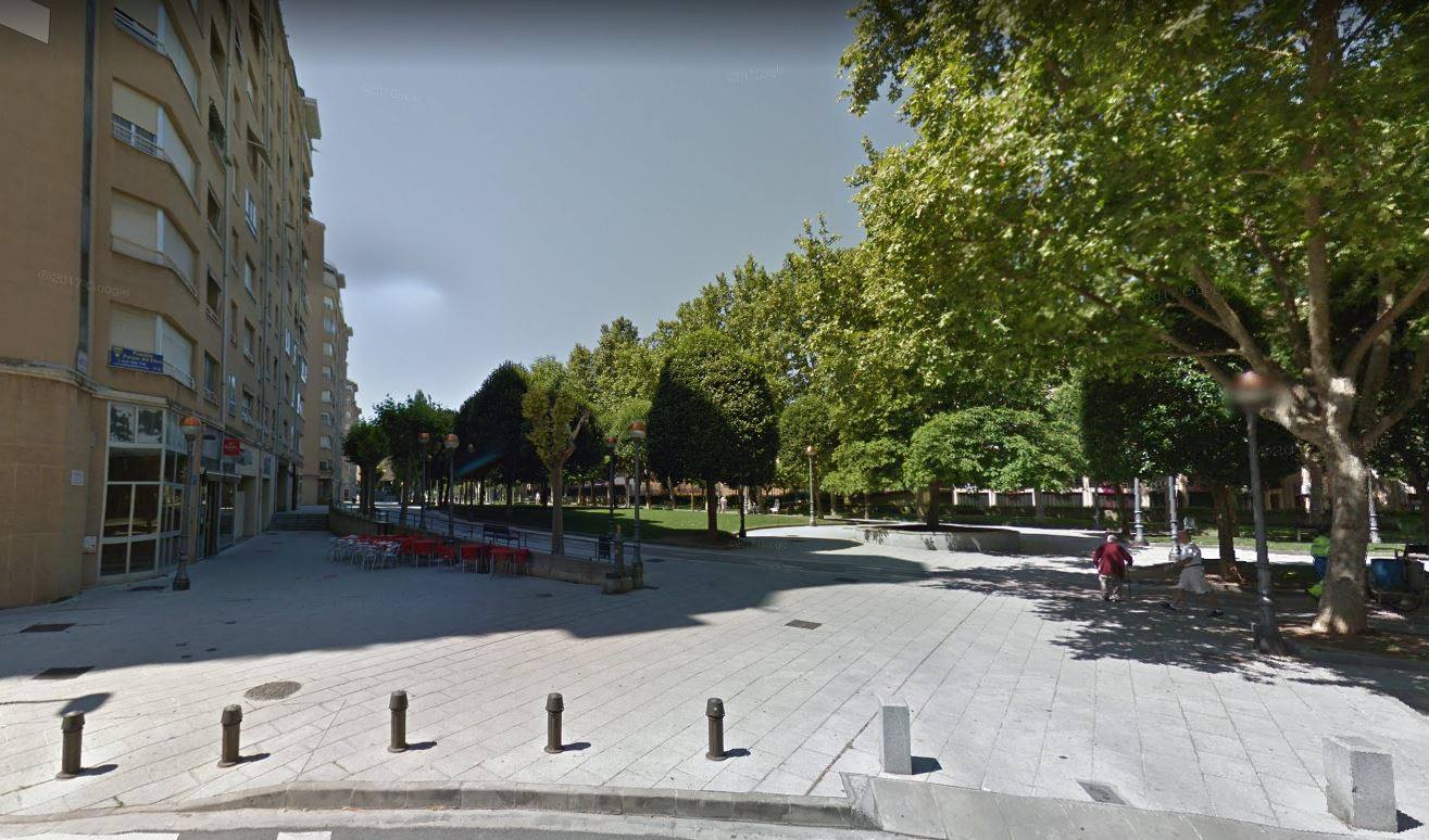 La policía abate de 29 tiros a un jabalí en la avenida de la Constitución de Logroño
