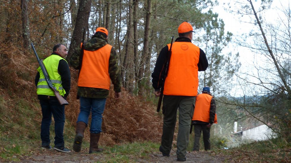Los cazadores constatan un aumento de las poblaciones de lobo en los montes gallegos