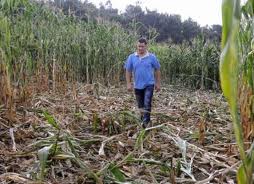 La Diputación ejecuta un proyecto para reducir los daños en los cultivos