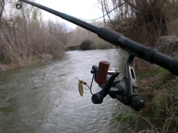 El bajo caudal y la mortandad de peces obligan a prohibir la pesca en ríos de Castilla y León