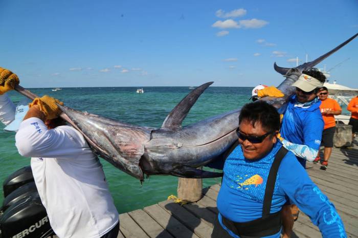 México, entre los favoritos del mundo para la pesca deportiva