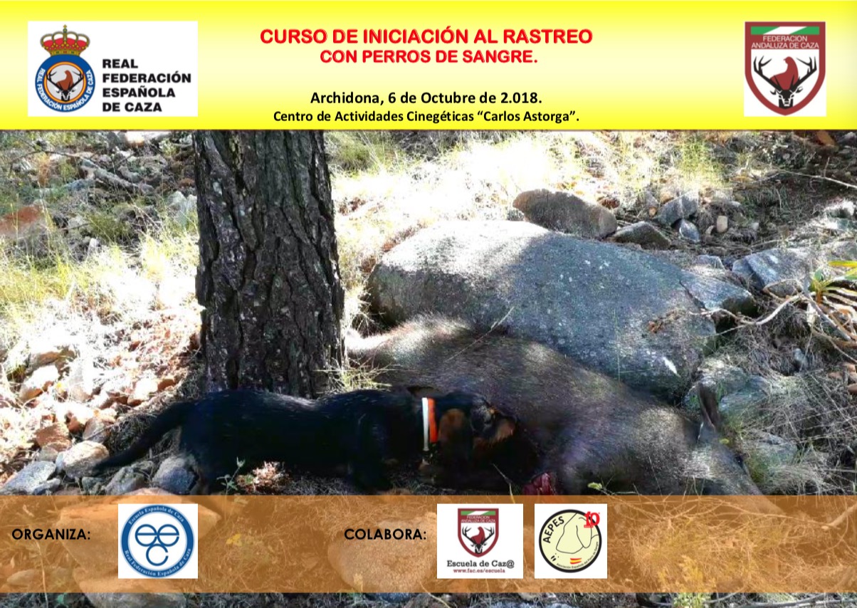 Aprende todos los secretos sobre el rastreo con perros de sangre en los nuevos cursos de la Escuela Española de Caza 