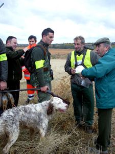 Castilla-La Mancha plantea incluir al muflón y al arruí como especies cazables