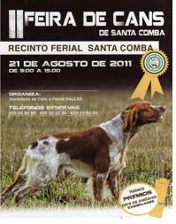 Santa Comba congregó a los mejores mil perros de toda Galicia