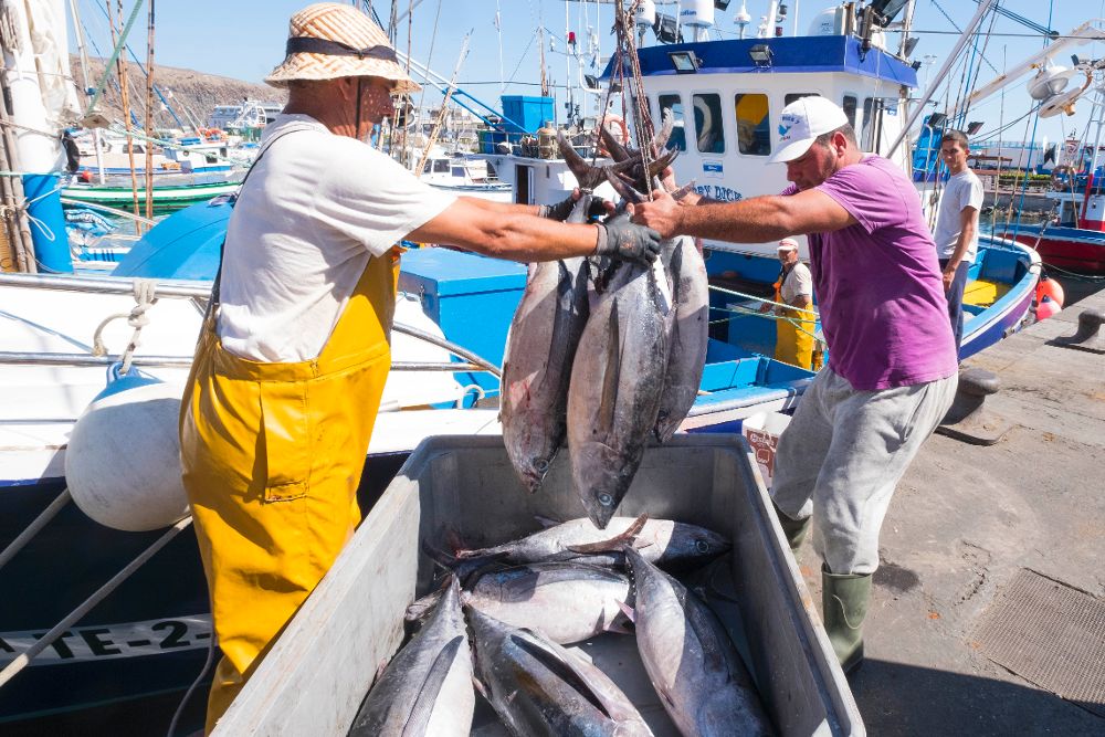 Los pescadores de toda España se concentran este viernes en Madrid por la pesca del Atún