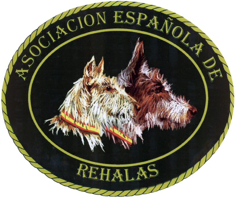 Respuesta del Ministerio de Sanidad a la Asociación Española de Rehalas sobre desplazamientos a las perreras