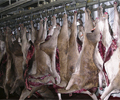 El malestar y la crispación que reina en el sector productor de carne de caza