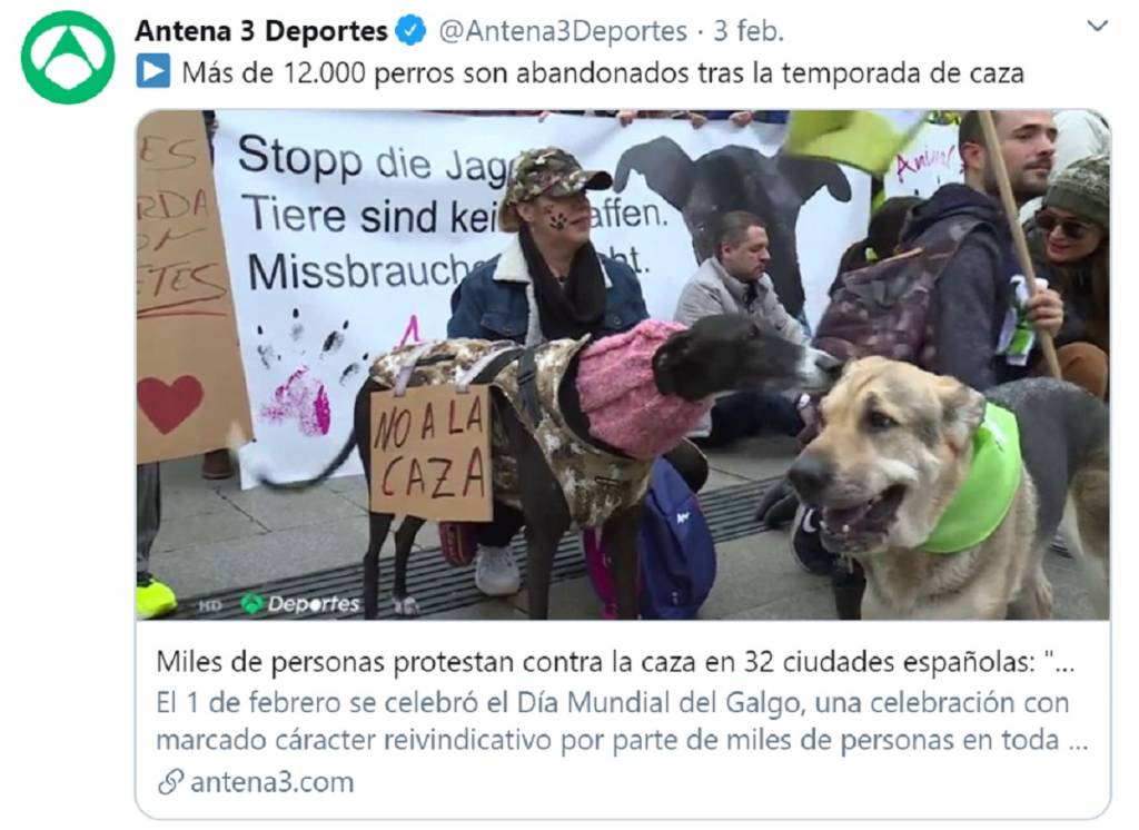 La RFEC solicita a Antena 3 la celebración de un debate en directo para aclarar el tema de los abandonos de perros