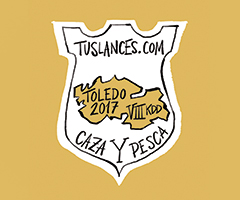 ¿Quieres asistir a la VIII Kedada Tuslances.com? Toledo 2017