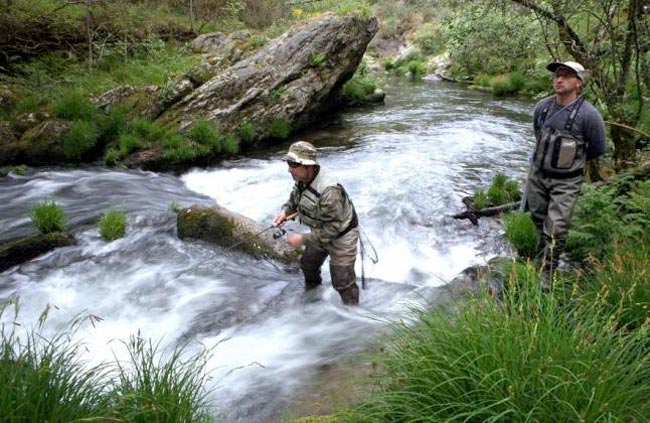 La Junta de Castilla y León actualiza el registro de aguas trucheras