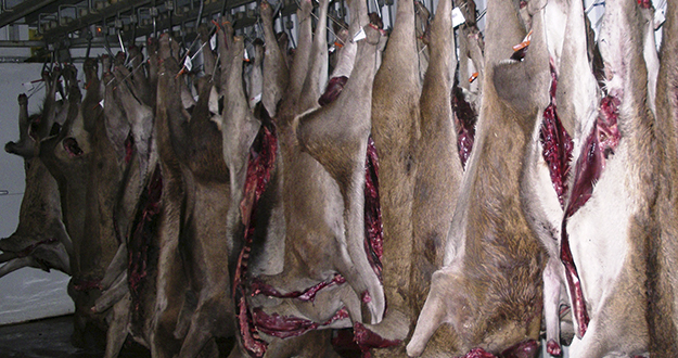 El malestar y la crispación que reina en el sector productor de carne de caza