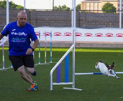 I Campeonato Agility Comunidad de Madrid