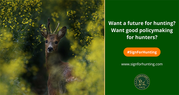 La RFEC hace un llamamiento a los cazadores españoles para que firmen la campaña de FACE contra los ataques de Europa a la caza