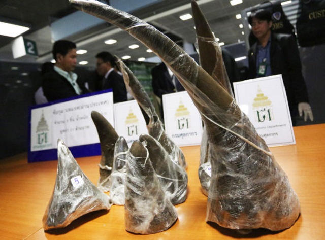 Ahora se podrá evitar la caza de rinocerontes con una nueva tecnología