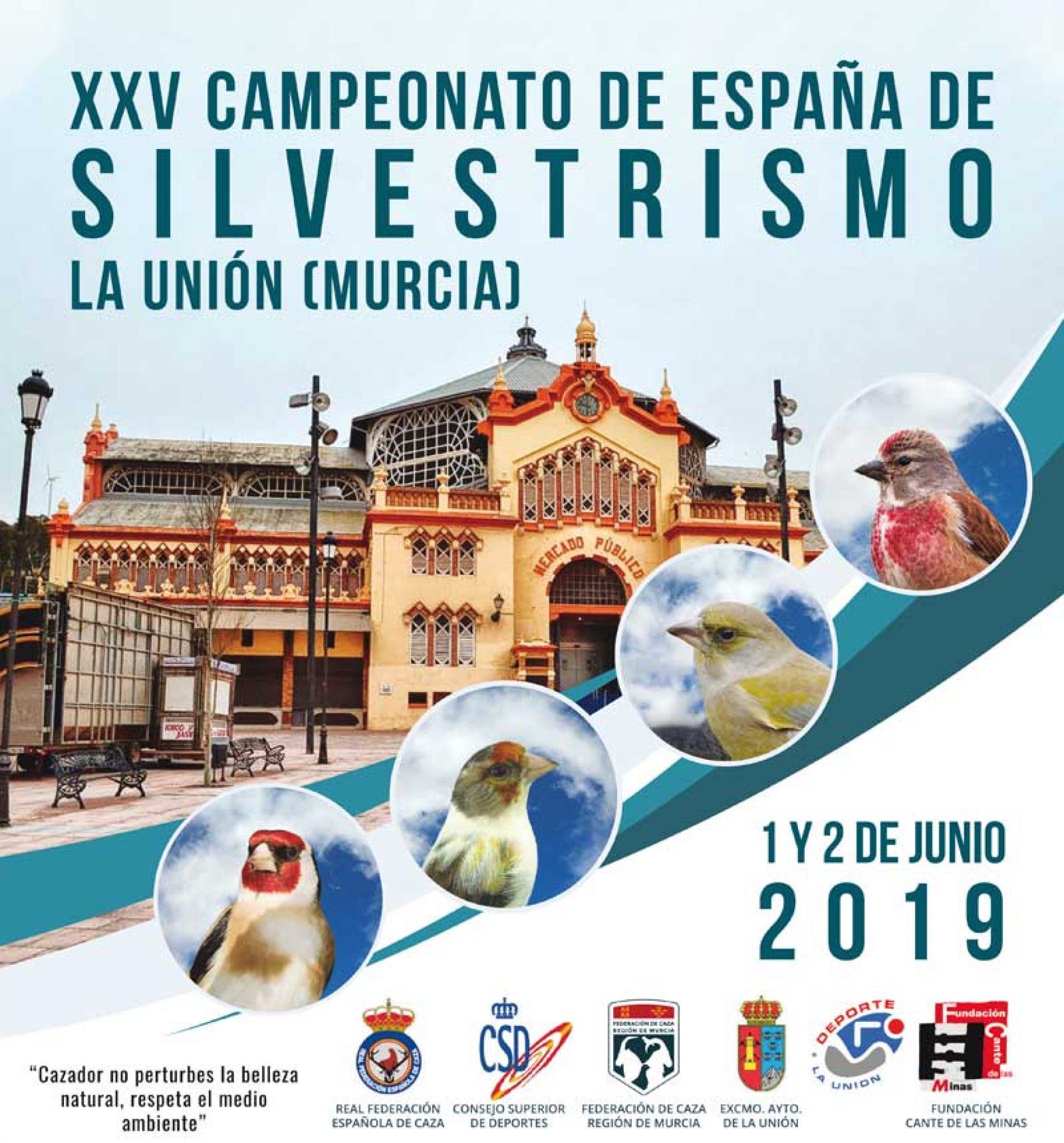 XXV Campeonato de España de Silvestrismo