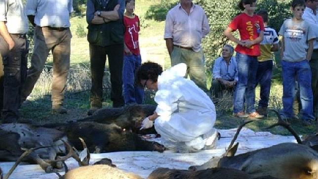 La Junta de Andalucía otorga a los cazadores funciones de control sanitario en un nuevo decreto