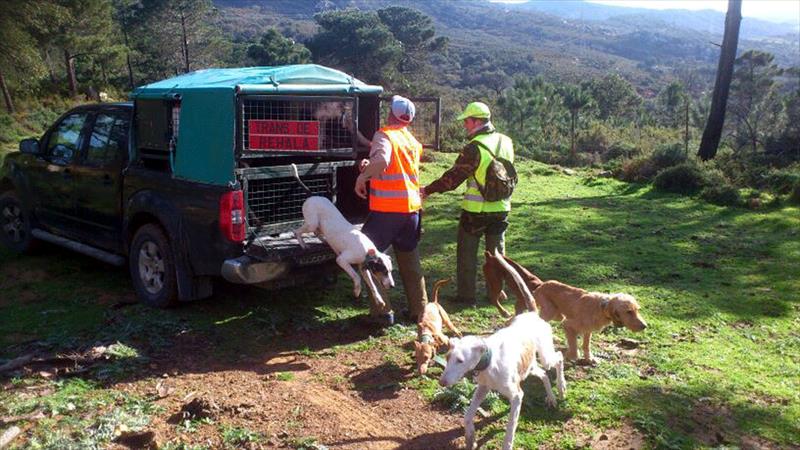  La Asociación Española de Rehalas se suma a la decisión de no cazar en Soria