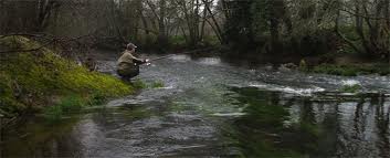 Cerdedo repoblará sus ríos y ofertará ecoturismo de pesca y caza