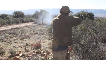Un cazador mata a otro al disparar contra una piara de jabalíes en Viladasens