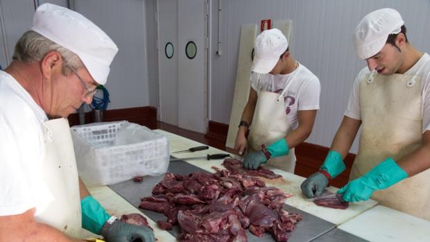 Los precios de la carne de montería, los más elevados de la última década en Córdoba