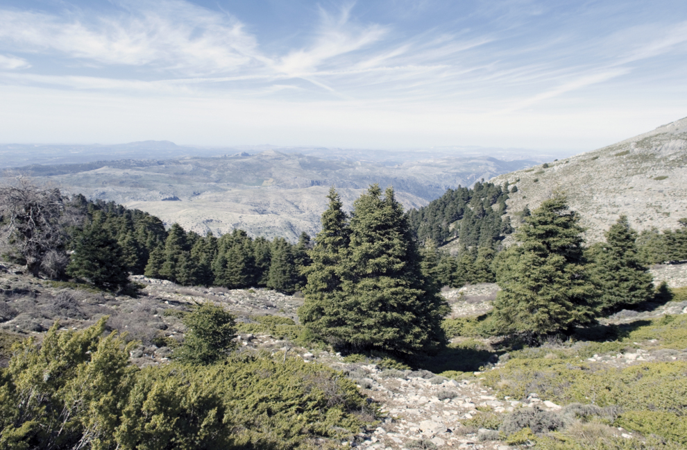 Tomás Rueda Gaona: "En la Sierra de las Nieves hay 1.500 tipos de plantas, 19 de ellas exclusivas"