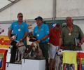 González Alonso gana el Campeonato de España de Perros de Rastro con “Jast”
