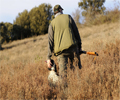  Se reclama al Ministerio de Sanidad y al de Agricultura que, de forma urgente, declaren la práctica de la caza como “actividad esencial”