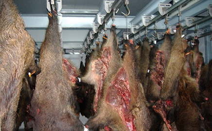  Denuncian a dos empresas en Castilla y León por la venta de carne de caza con deficiencias sanitarias