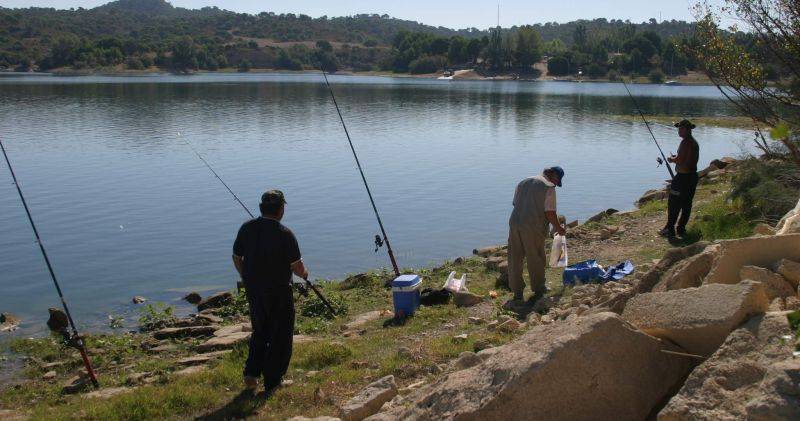 El TSJA suspende cautelarmente el Plan de Pesca de Aragón 2017