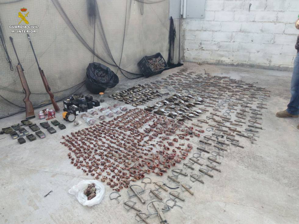 Tres detenidos por capturar 836 aves protegidas para vender como ‘pajaritos fritos’