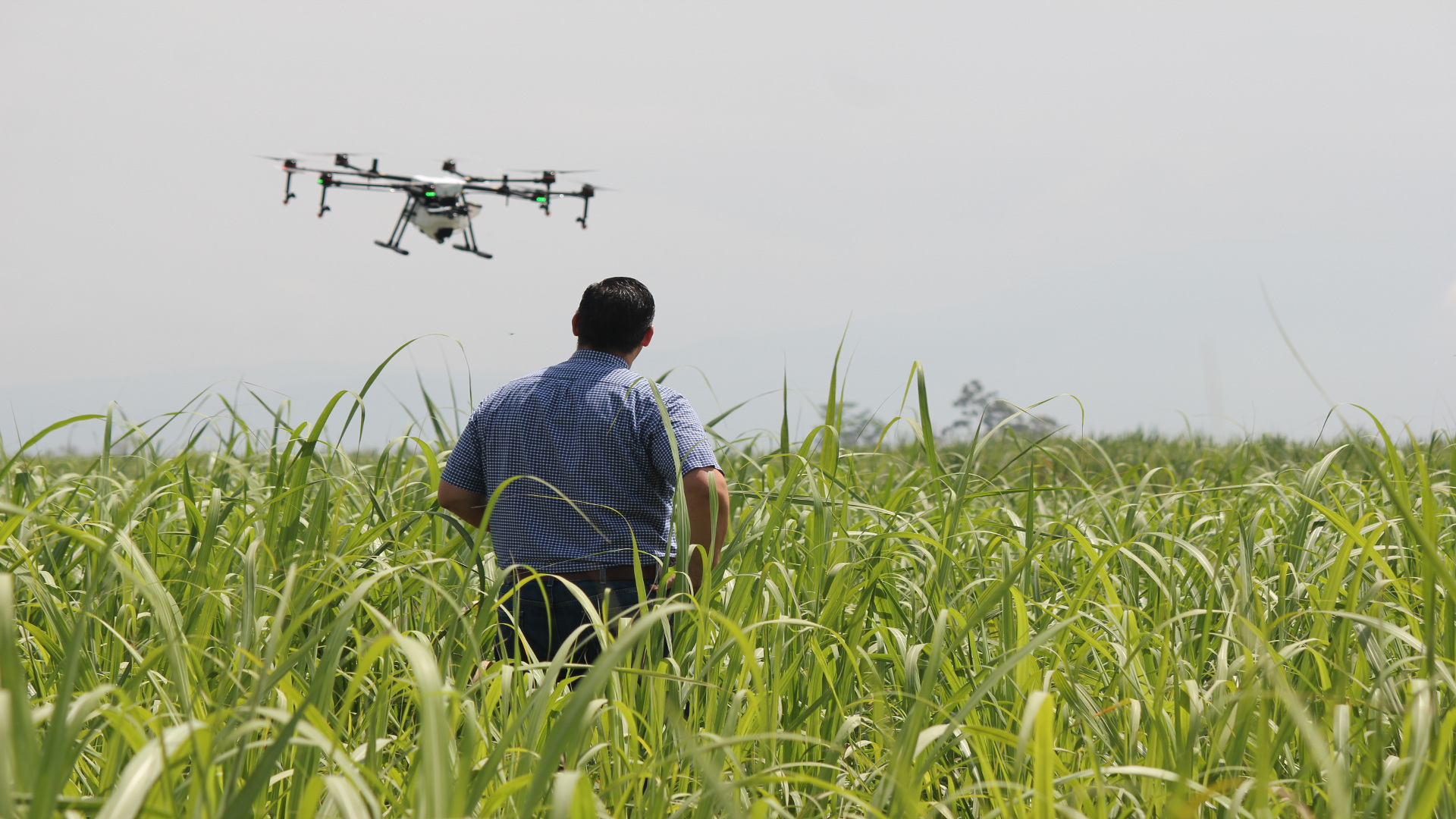 La Junta de Andalucía incorpora drones para el seguimiento de especies cinegéticas y amenazadas
