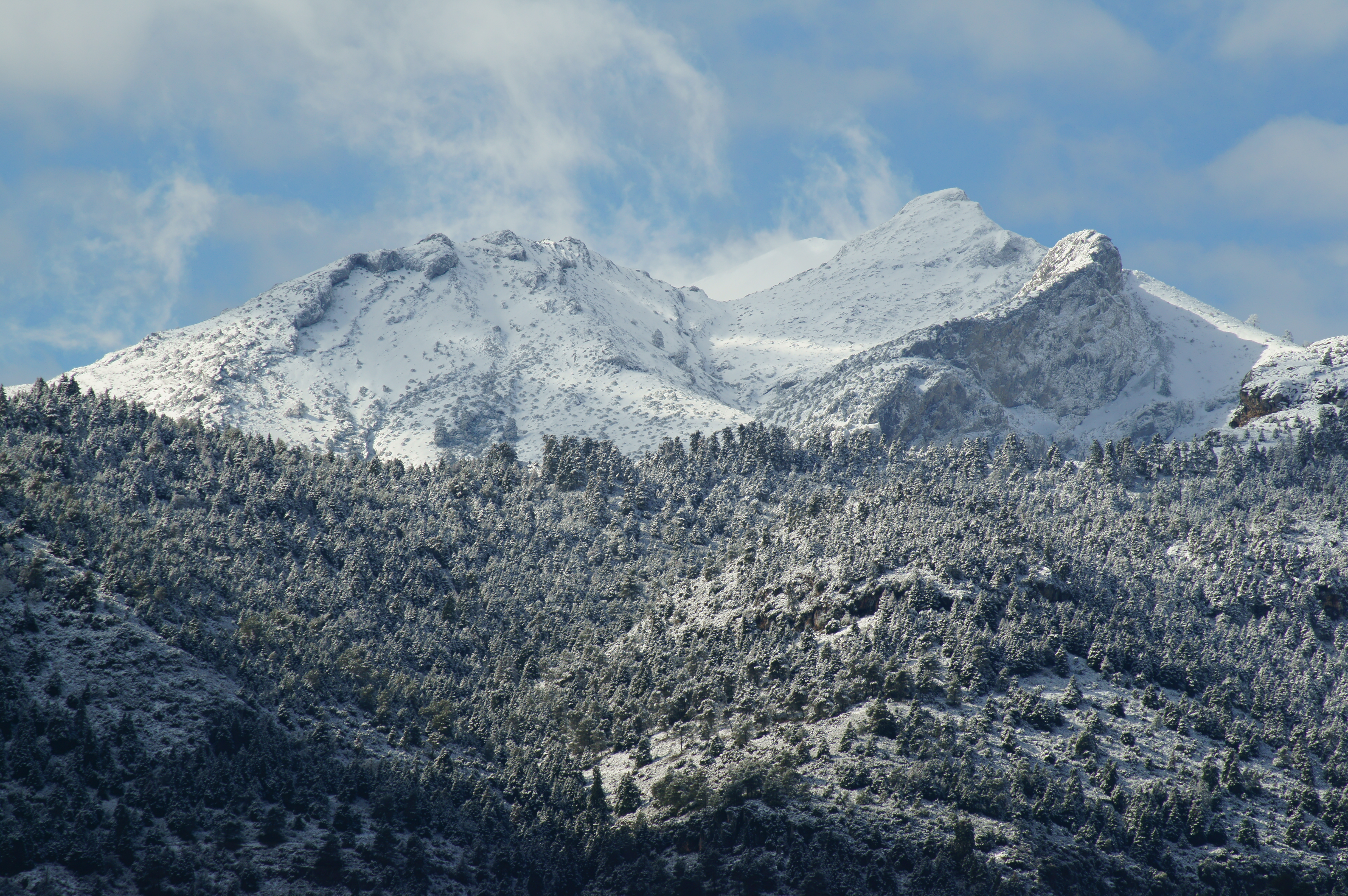 Sierra de las Nieves: un Parque Nacional