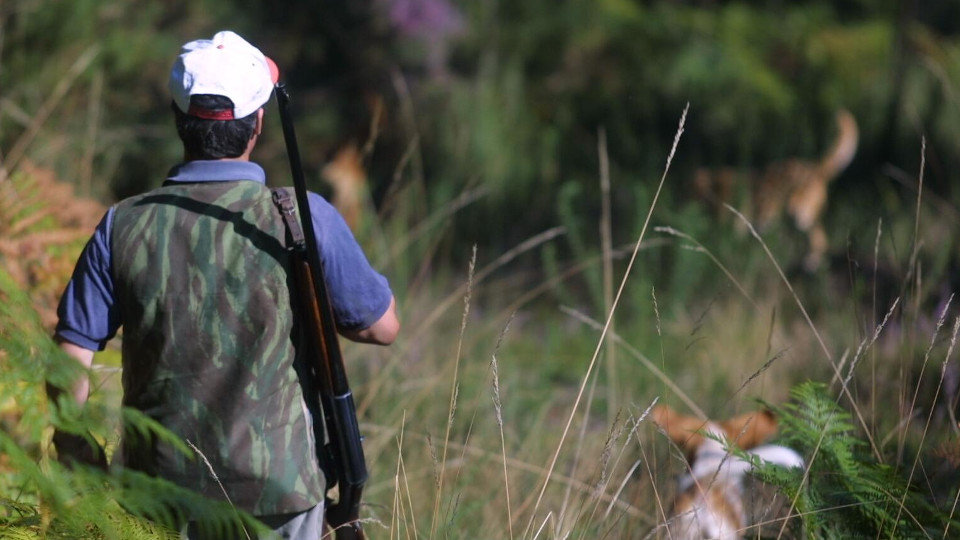 Dos colectivos animalistas piden la prohibición expresa de los menores en las cacerías