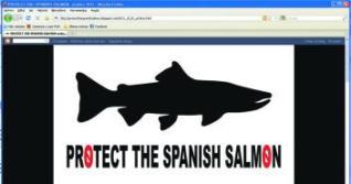 Pescadores de toda España se organizan para frenar la norma asturiana del salmón 
