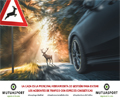 Mutuasport lanza un vídeo sobre la necesidad de la caza  ante los accidentes de tráfico.