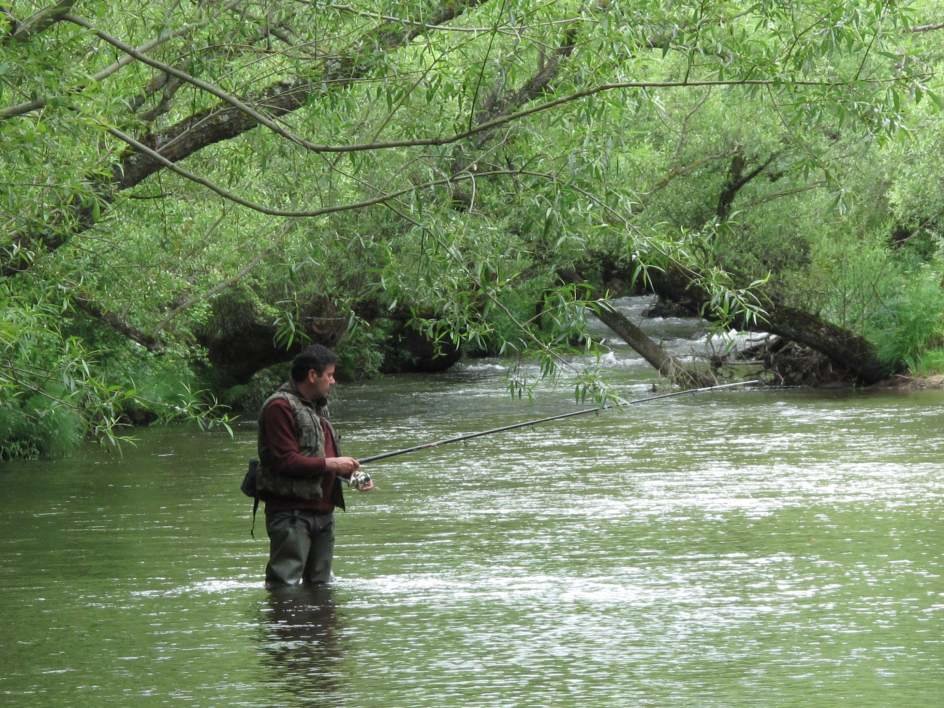 Cantabria vuelve a permitir pescar en los ríos