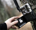 Trail Camera M15, la primera cámara de fototrampeo de HIKMICRO