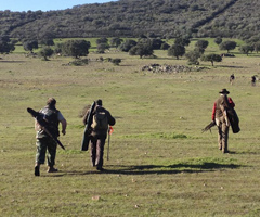 La Oficina Nacional de Caza pide crear una mesa nacional en defensa del sector