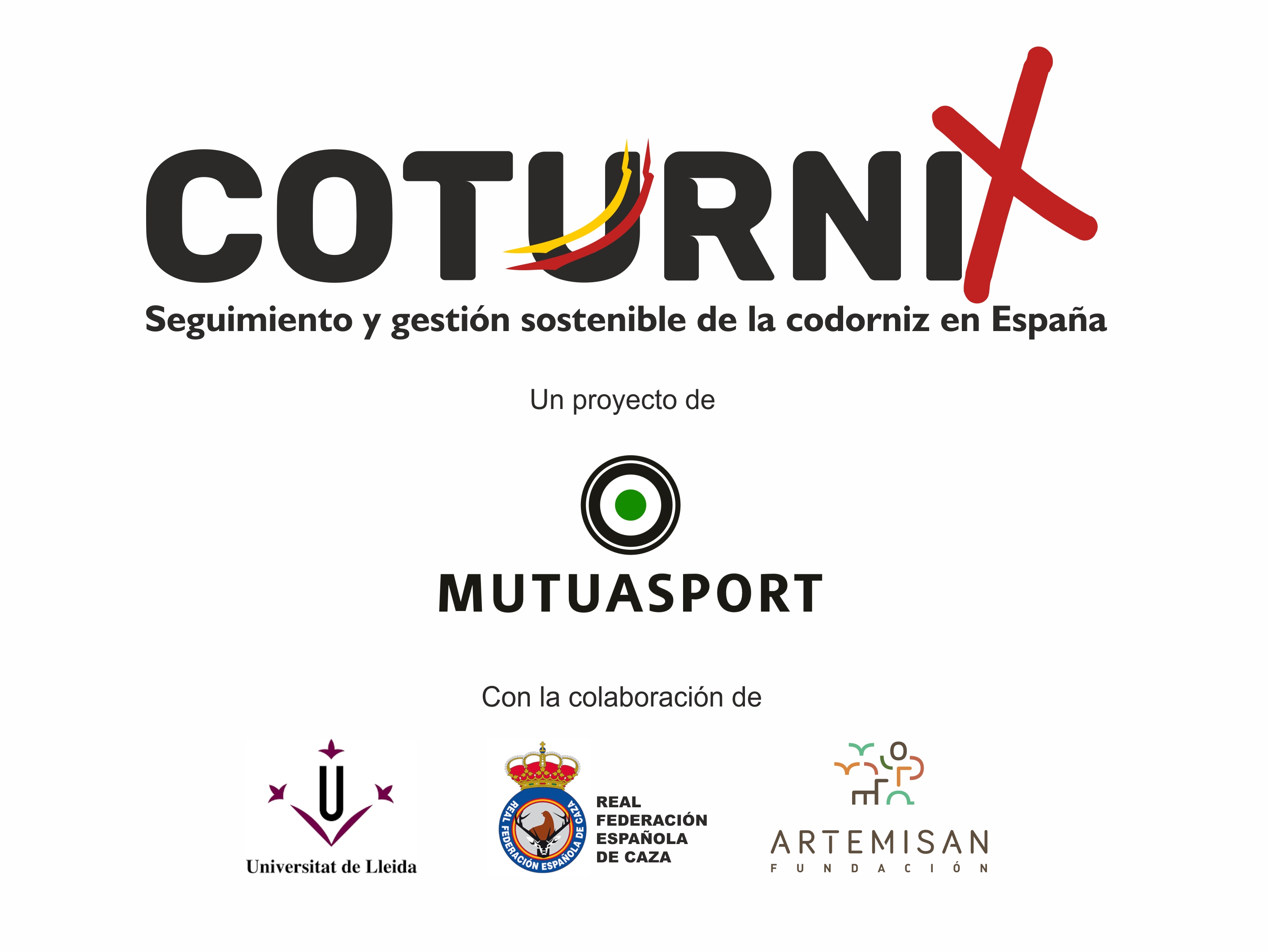 Nace ‘Coturnix’, un proyecto de ciencia ciudadana aplicada a la conservación de la codorniz común
