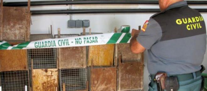 La Guardia Civil incauta 26 jaulas-trampa para conejos en una finca de Santomera