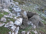 Puestos de caza perdiz reclamo de piedra o naturales