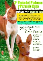 2ª feria del perros de moclinejo