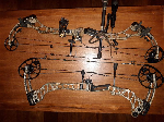 Mathews Vertix y PSE Bowmadness XL